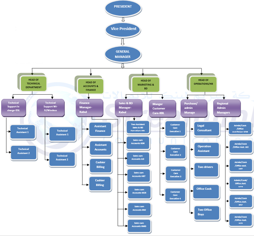 Toll Organisation Chart